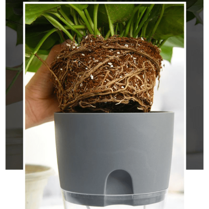 HydroBloom - Hydroponic Self Watering Flowerpot