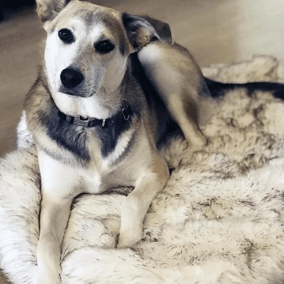 Pup FurBed - Orthopedic Dog Bed with Vegan Fur Memory Foam