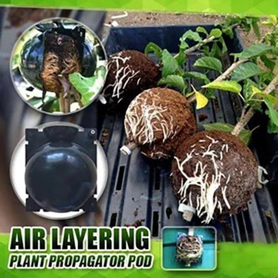 GrowSphere - Plant Rooting Balls