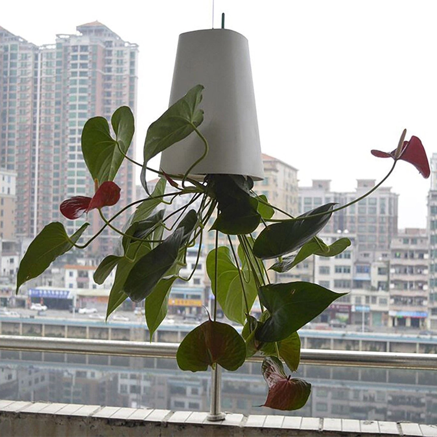 Sky Garden - Creative Upside Down Self Watering Sky Planting Pot